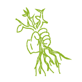 Débroussaillage Drome